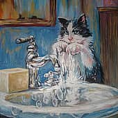 Мокрое дело. Котику жарко.