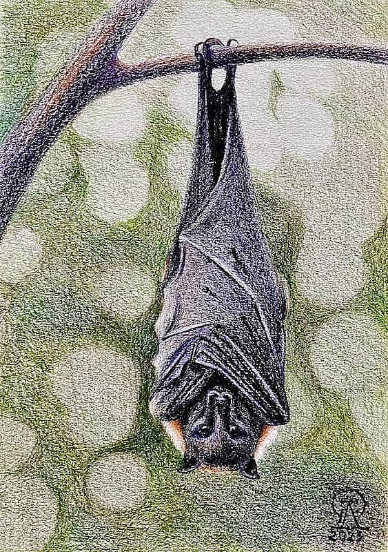 Вниз головой