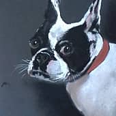 Добрый друг