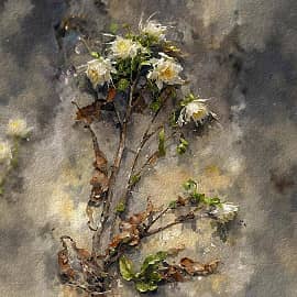 ЦВЕТЫ НА СНЕГУ АКВАРЕЛЬ. 40Х50