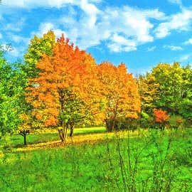 в лучах солнца-2