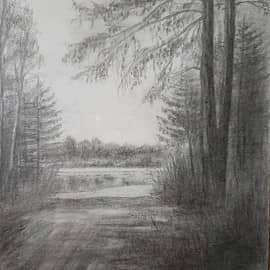 Старые лиственницы