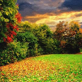 а листья падают