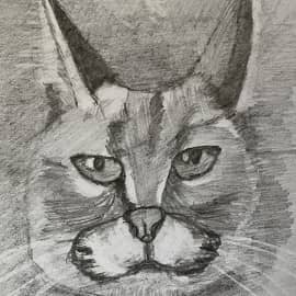 реалистический рисунок карандашом. По МК Е. М.