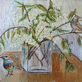 В вербную неделю. Зацвела черёмуха.