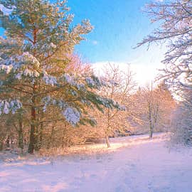 Зимнее утро.