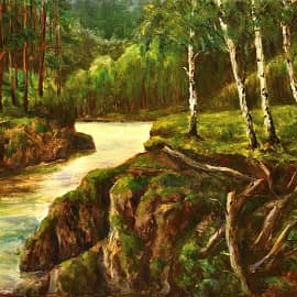 Нетронутые уголки леса