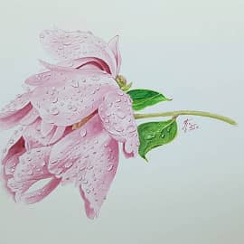 Дождь прошел