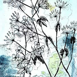 Разнотравье