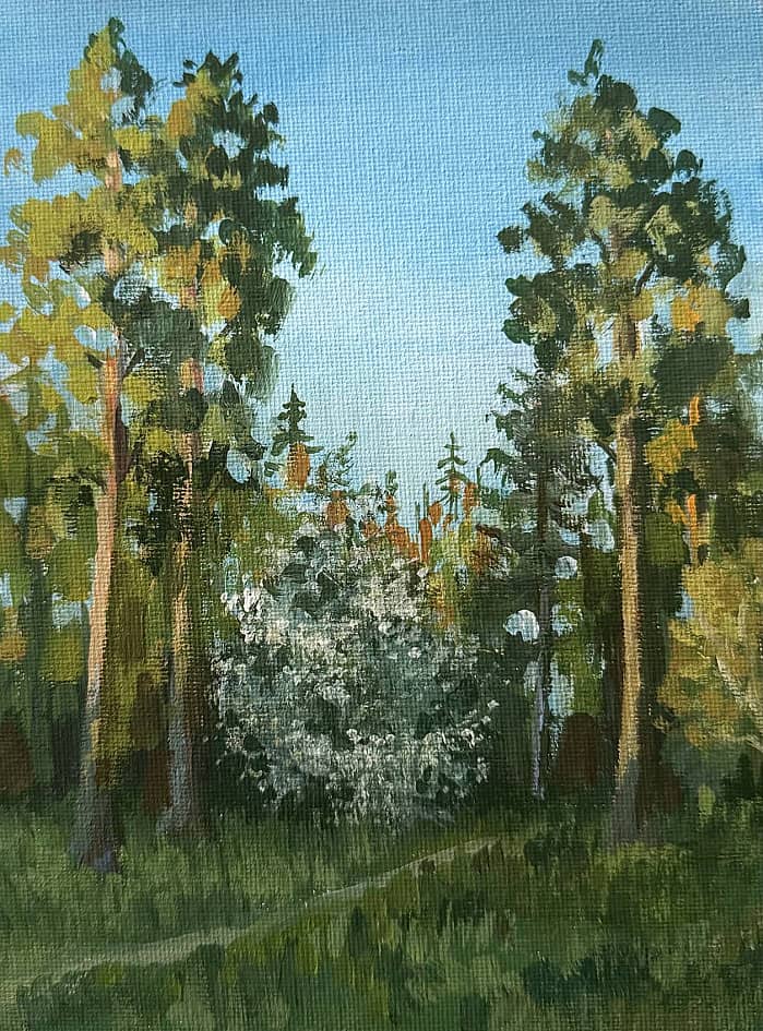 Парк на Берде, Холст на картоне Акрил