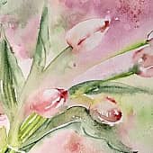 Акварель Розовые тюльпаны