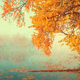 туманы осени-2