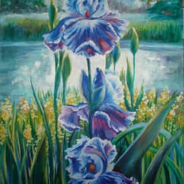 Красота многоголосия. Ирисы.