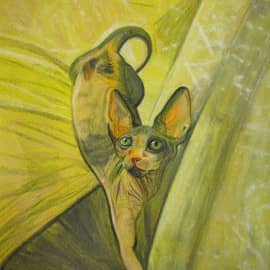 "Яркая девочка"