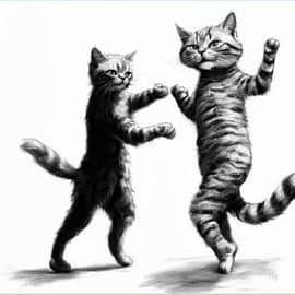 Кошачий шейк