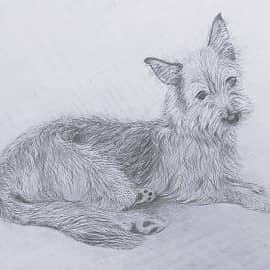 После прогулки (в ожидании душа)