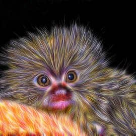 Маленькая игрунка