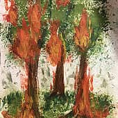 Лесной костер