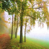 Осенний туман.