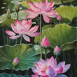 Пруд с лотосами