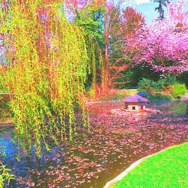 Весенний парк