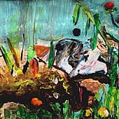 День рождения