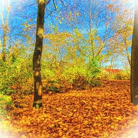 по опавшей листве