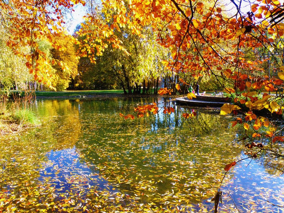 Осенний пруд.