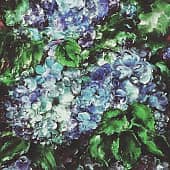 Гортензия (Цветы молчат, но говорят о многом)