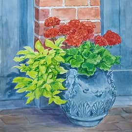 Герань в горшке - 2