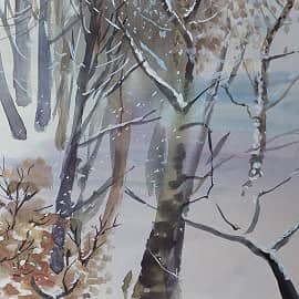 Январь во дворе