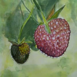 Сладкая ты моя, ягодка малинка