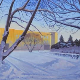 Зимние ивы 1