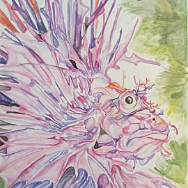 аквариумный дракончик