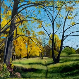 Последние тёплые дни