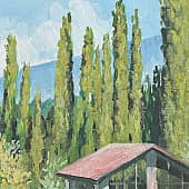 Абхазские кипарисы