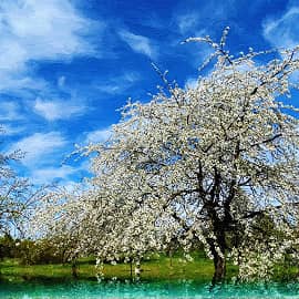 Весенние облака.