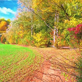 осенние мотивы