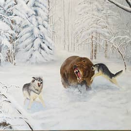 Лесные разборки