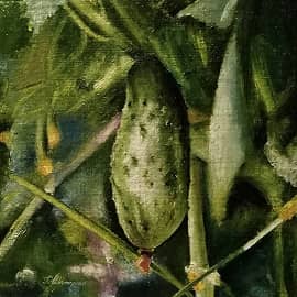 На грядке. Огурец.