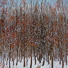 Воскресная прогулка  Sunday Walk