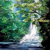 В дебрях амазонки