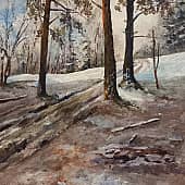 Край сосновый