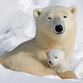 Белая медведица с малышом