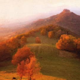 Туманное утро.