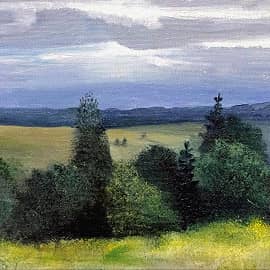 Дачный этюд.