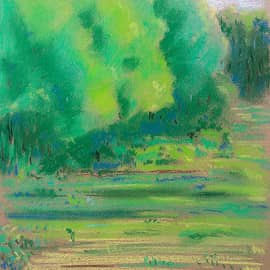 Лесная зарисовка