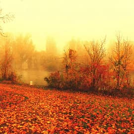 цветные туманы-3