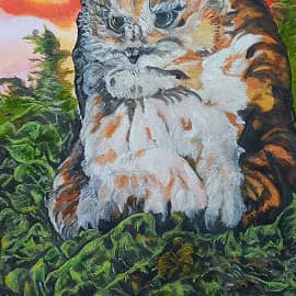 Сова на закате