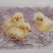 Три цыплёнка (3), художник Natasha Nesterovich